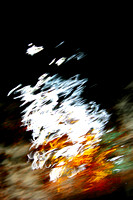 The Best of Images: Abstract Impressionism and Photography